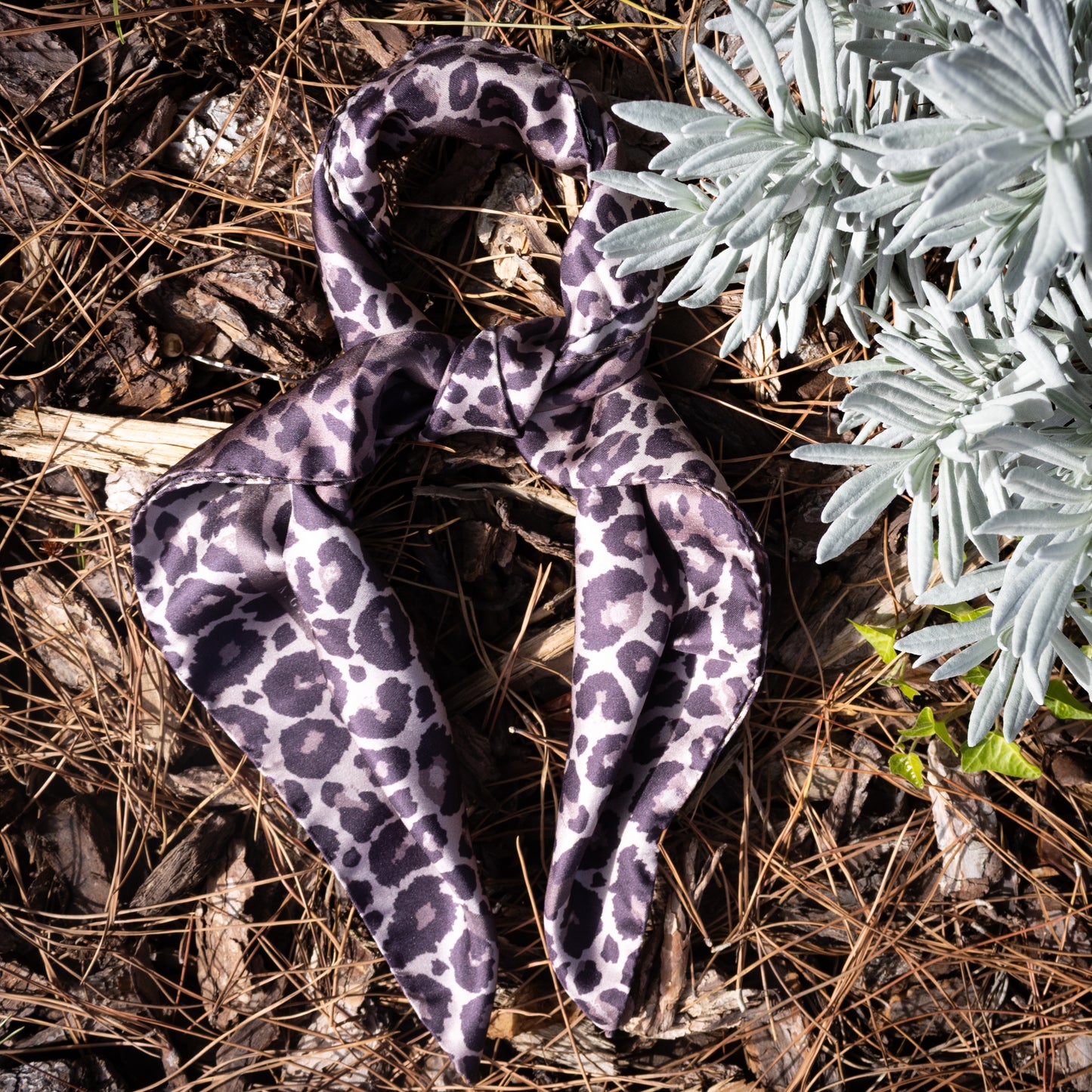 Leopard Savannah Taupe - Midi Silk Scarf